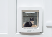 Cat looking through Microchip Pet Door Connect