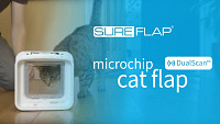 Learning a standard cat into the DualScan Microchip Cat Door