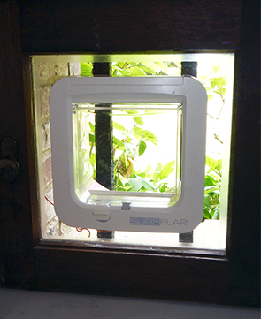 Microchip Cat Flap installed in glass