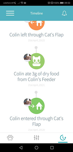 Colin the cat's timeline