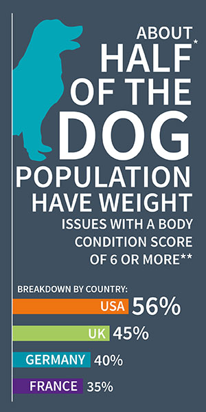 Dog weight infographic 1